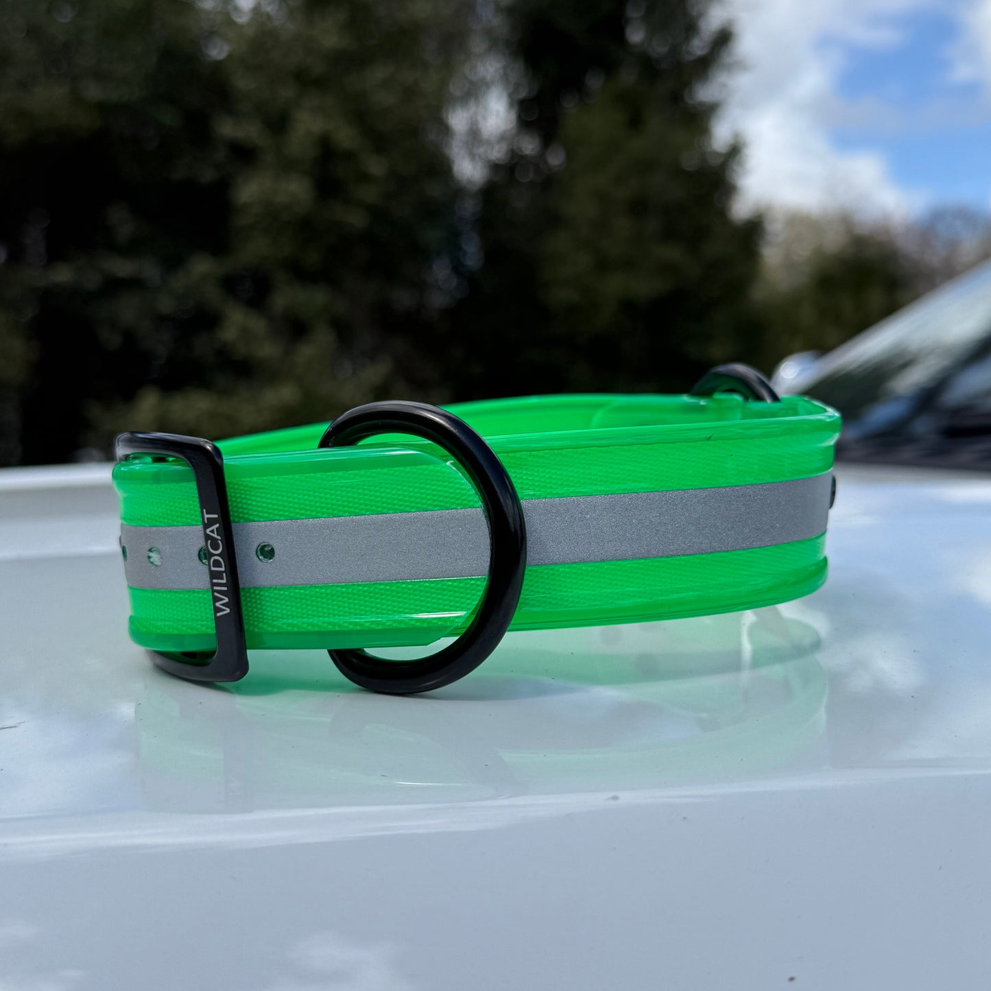 1 1/2" Reflective w/ D&O Ring Collar