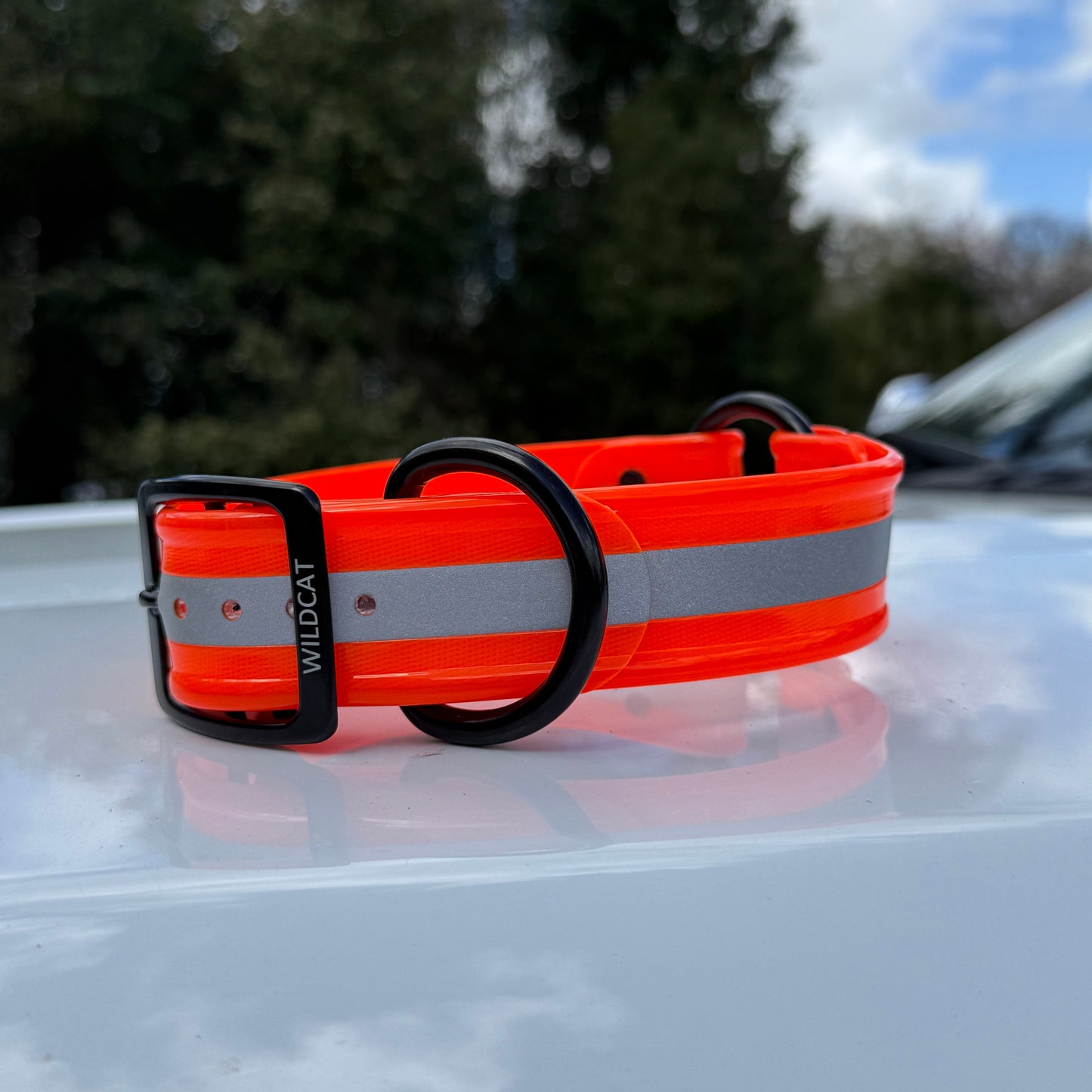 1 1/2" Reflective w/ D&O Ring Collar