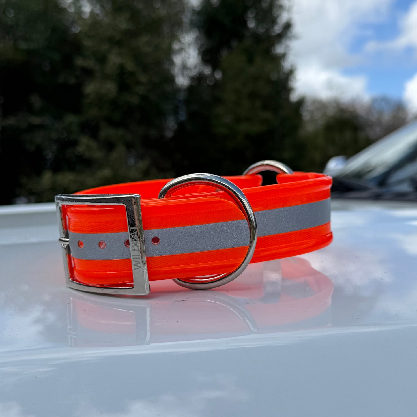 1 1/2" Reflective w/ D&O Ring Collar