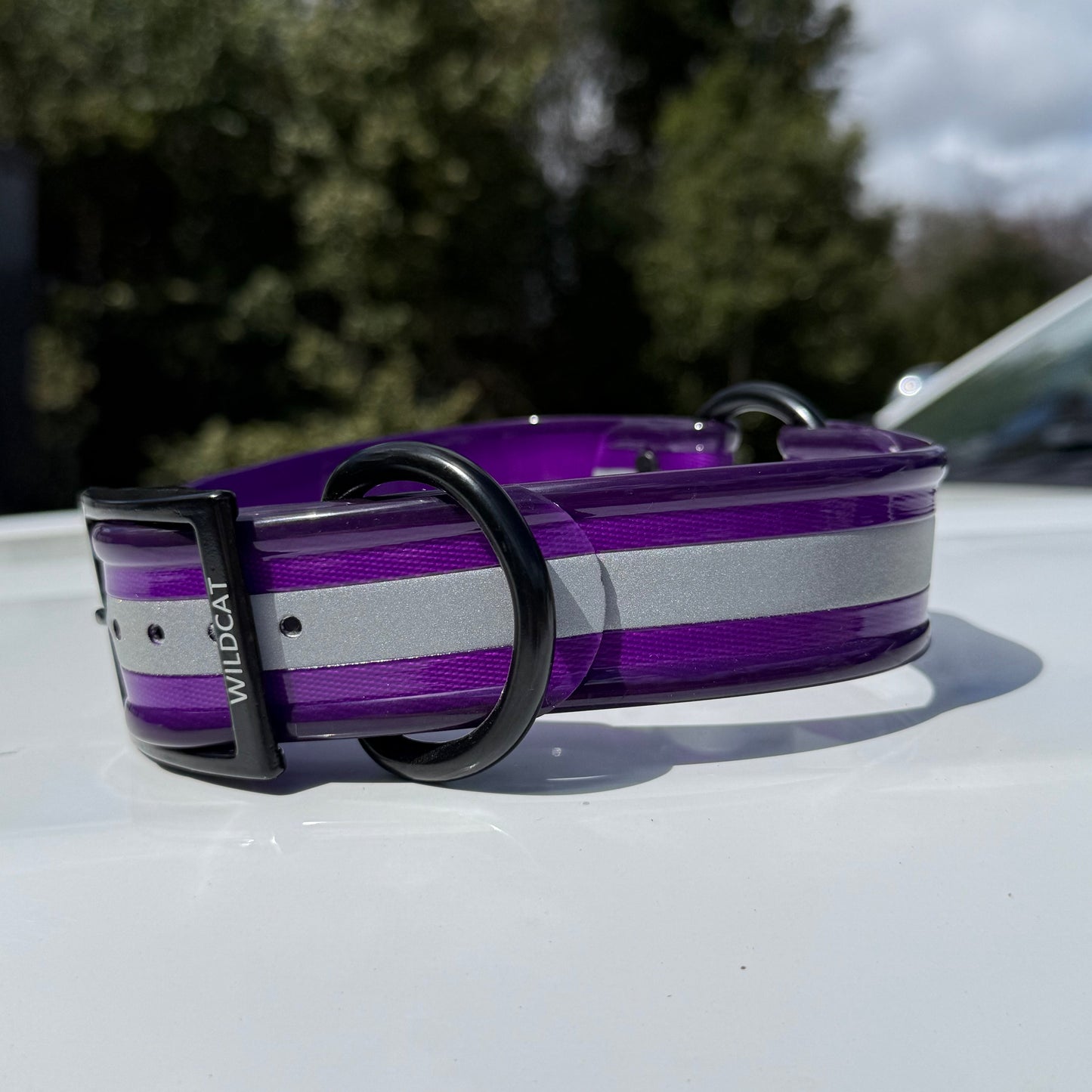 1 1/2" Reflective w/ D&O Ring Collar