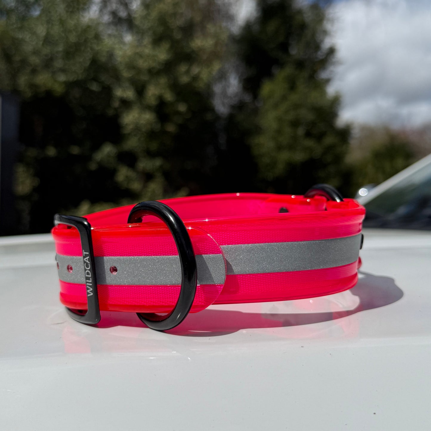 1 1/2" Reflective w/ D&O Ring Collar