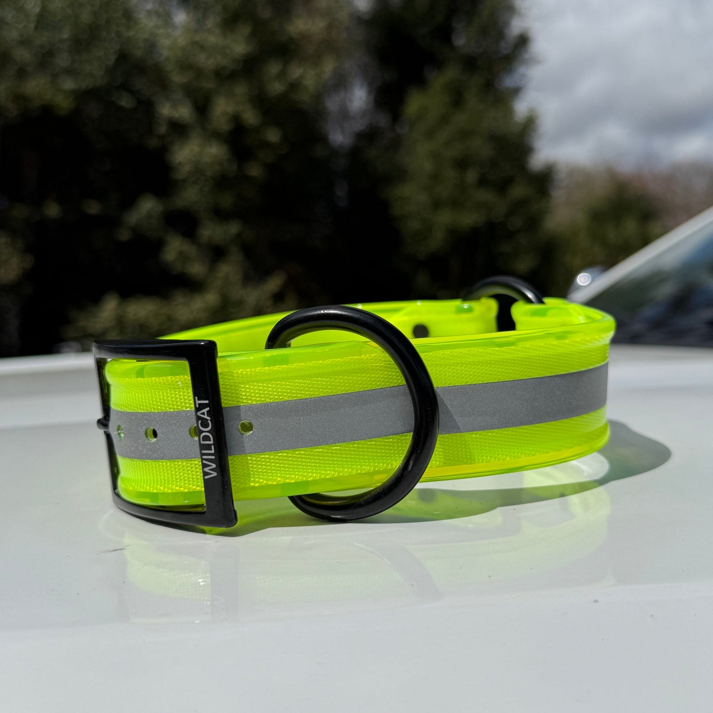 1 1/2" Reflective w/ D&O Ring Collar