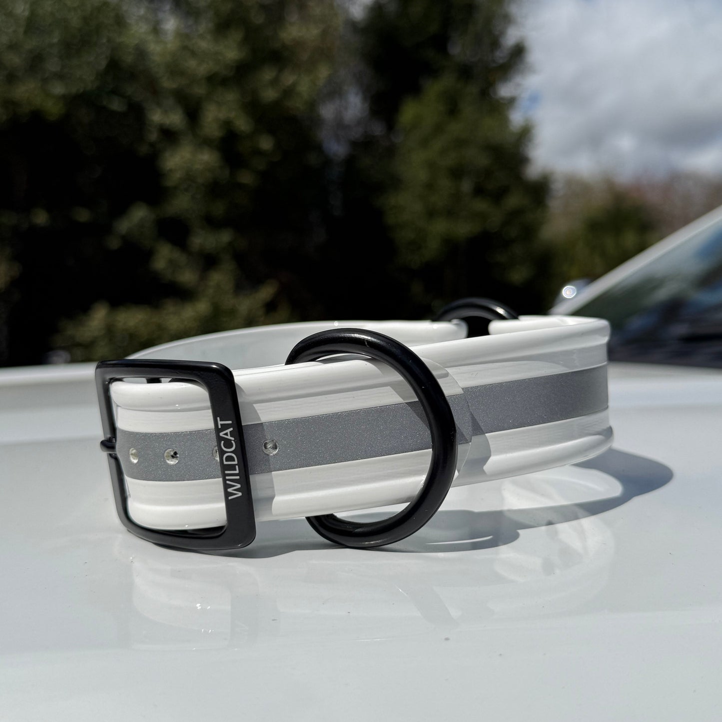 1 1/2" Reflective w/ D&O Ring Collar