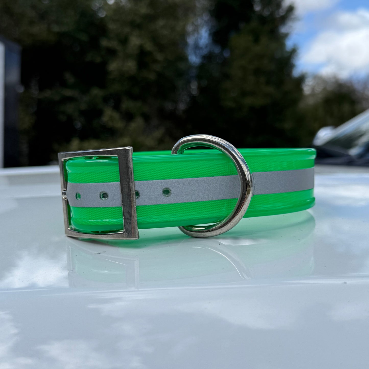 1 1/2" Standard Reflective w/ D Ring Collar