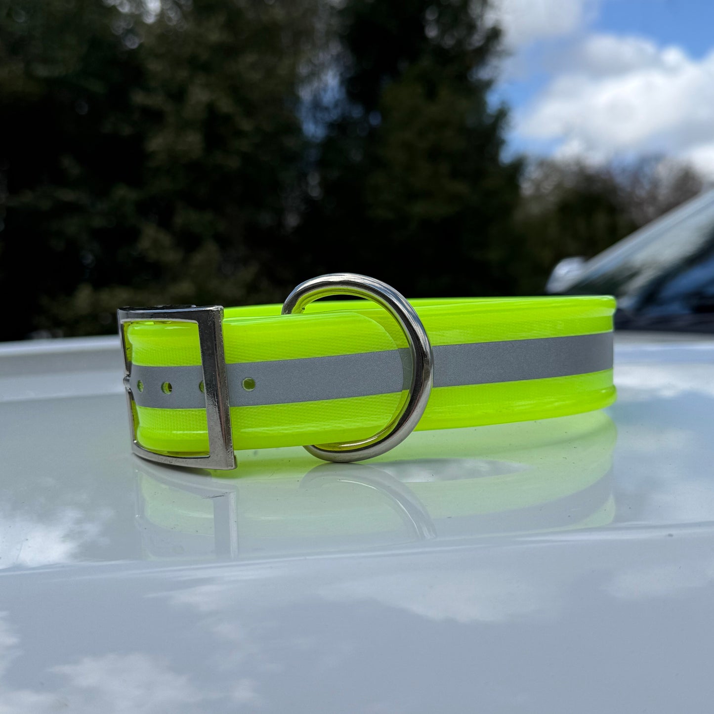 1 1/2" Standard Reflective w/ D Ring Collar