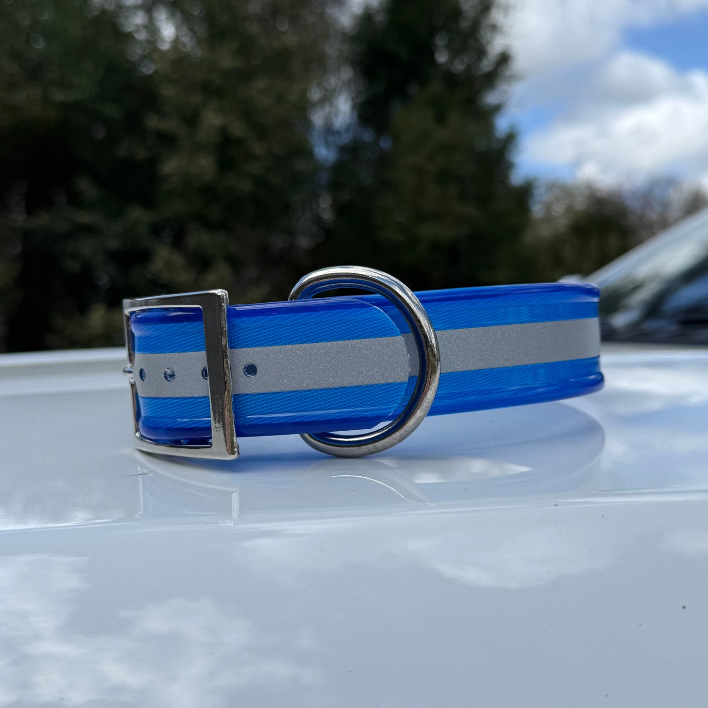 1 1/2" Standard Reflective w/ D Ring Collar
