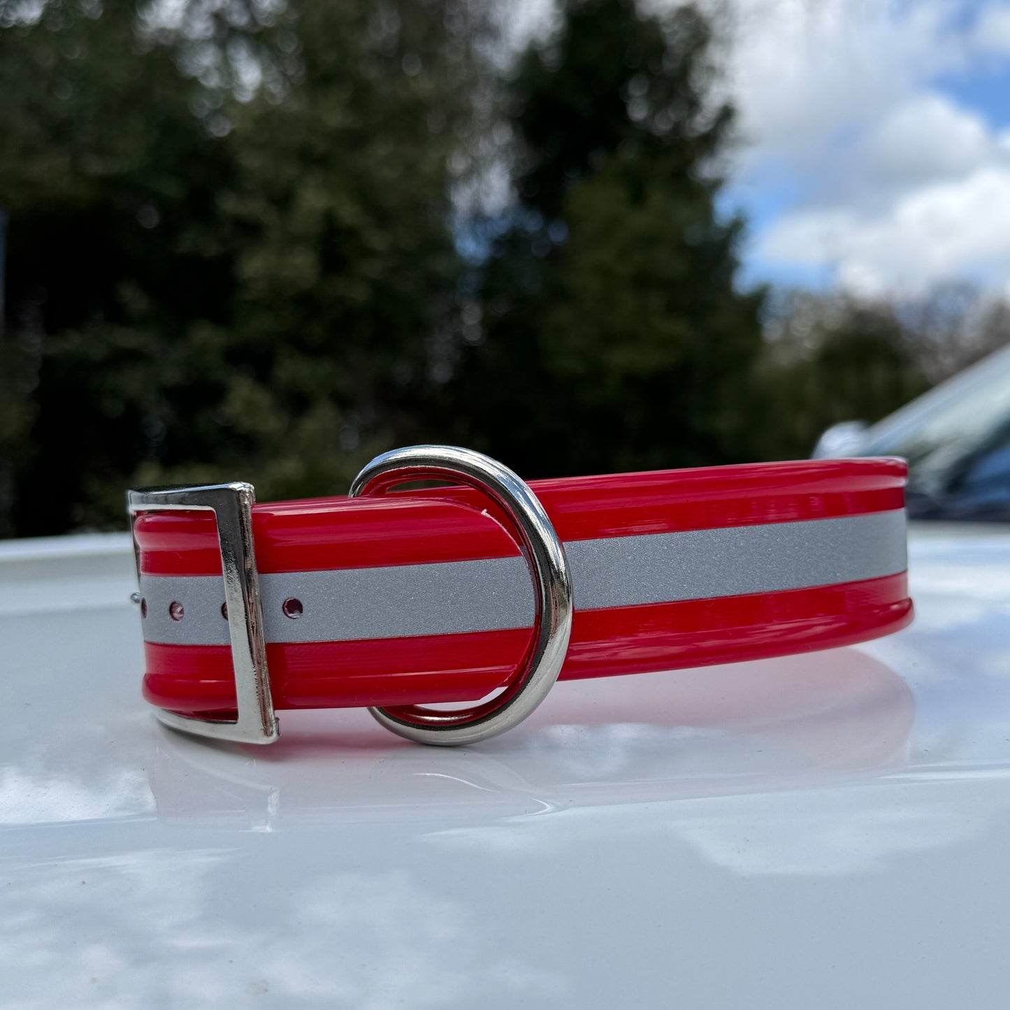 1 1/2" Standard Reflective w/ D Ring Collar