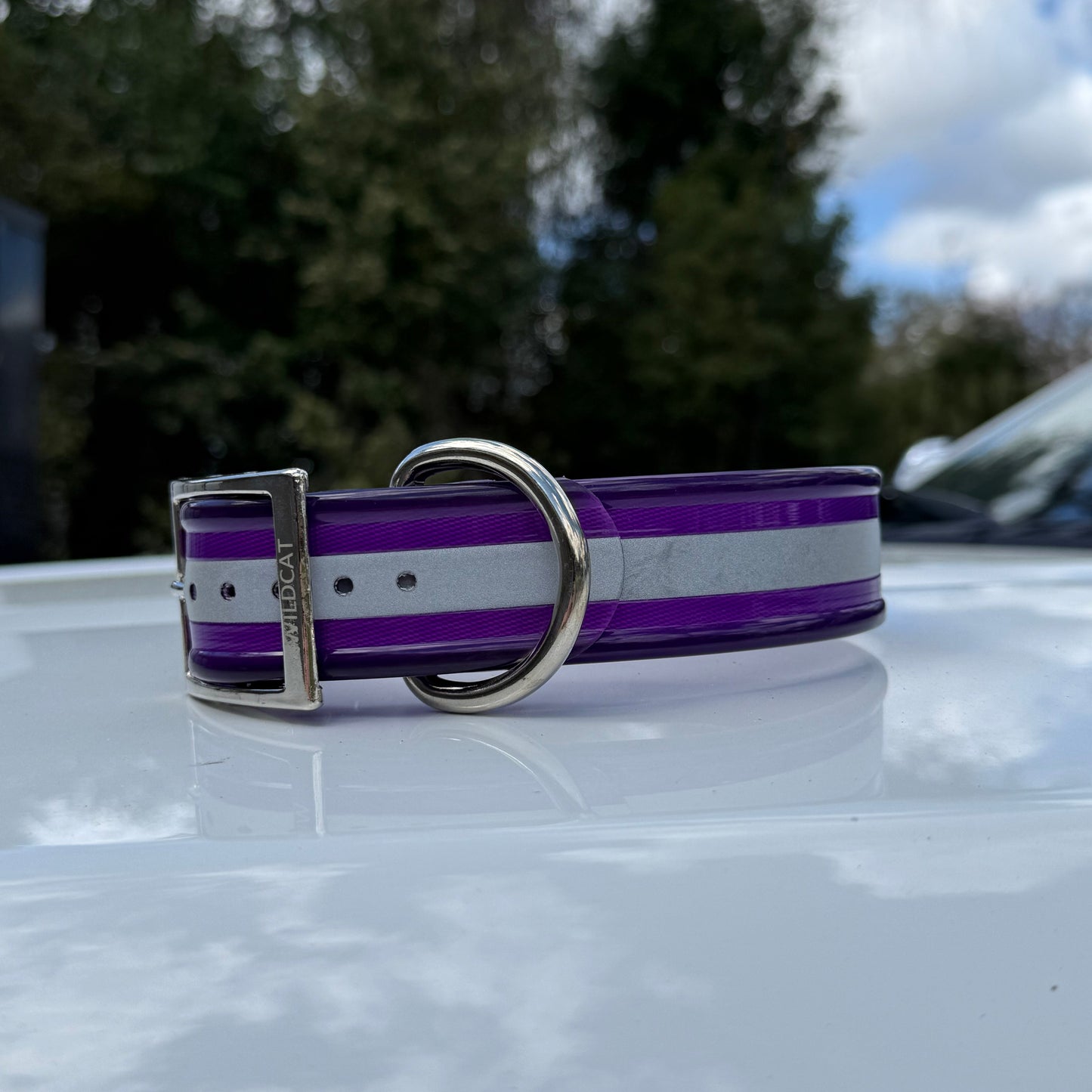 1 1/2" Standard Reflective w/ D Ring Collar