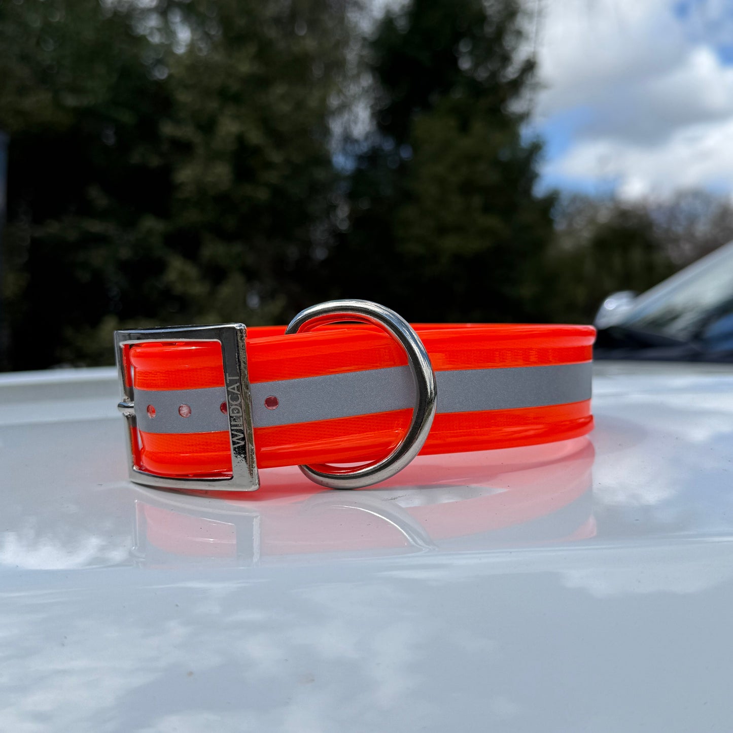 1 1/2" Standard Reflective w/ D Ring Collar
