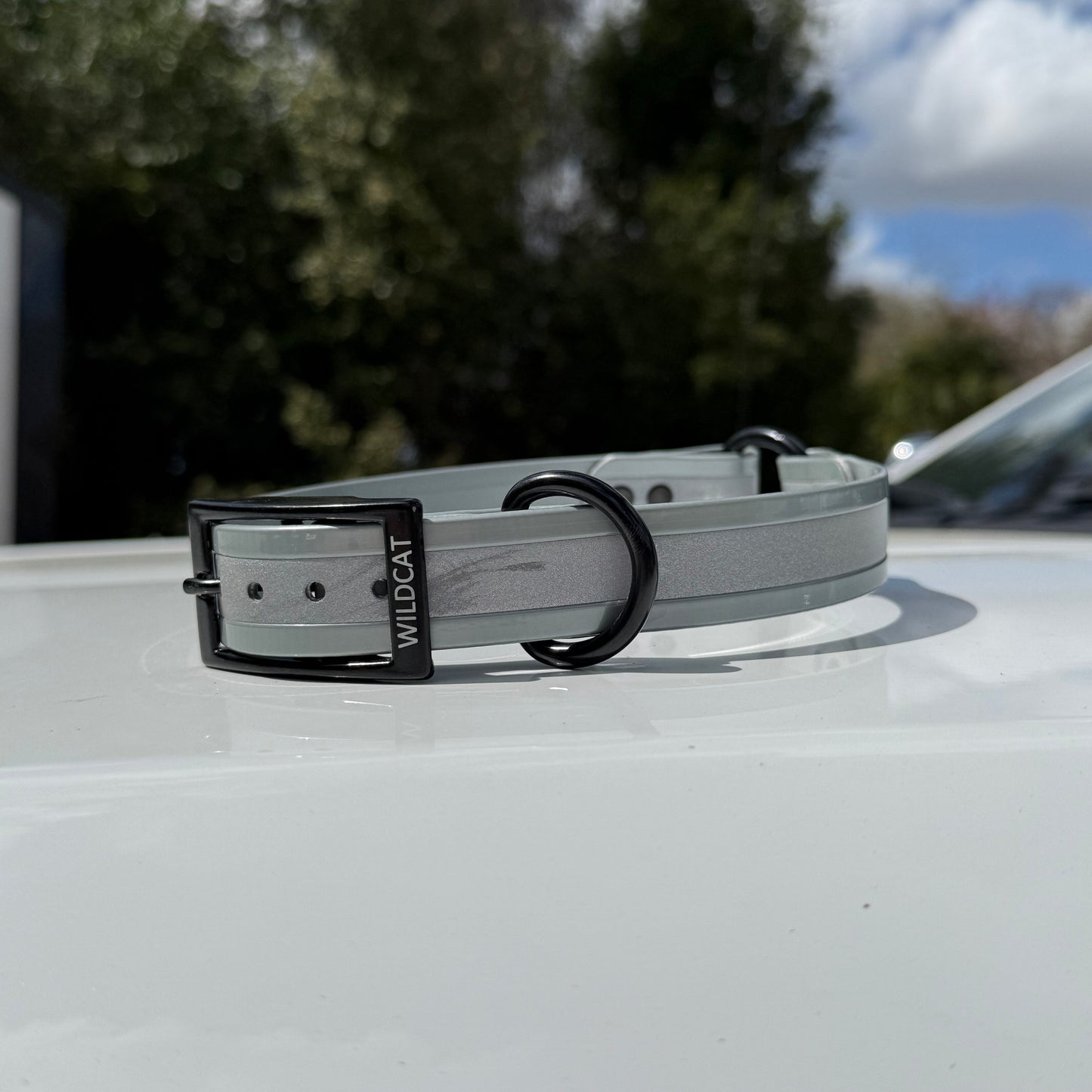 1" Standard Reflective w/ D&O Ring Collar