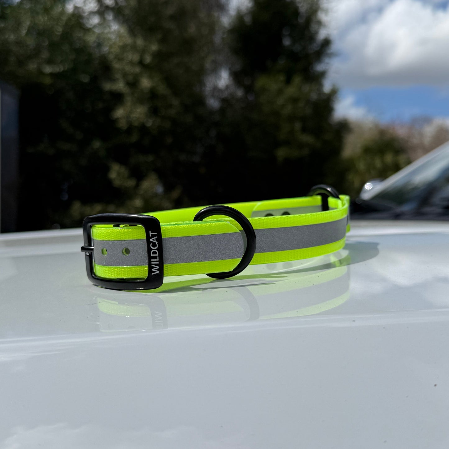 1" Standard Reflective w/ D&O Ring Collar