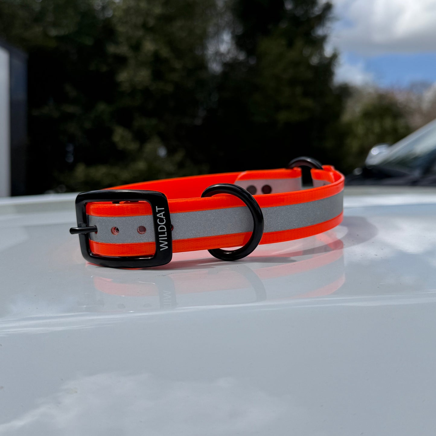 1" Standard Reflective w/ D&O Ring Collar