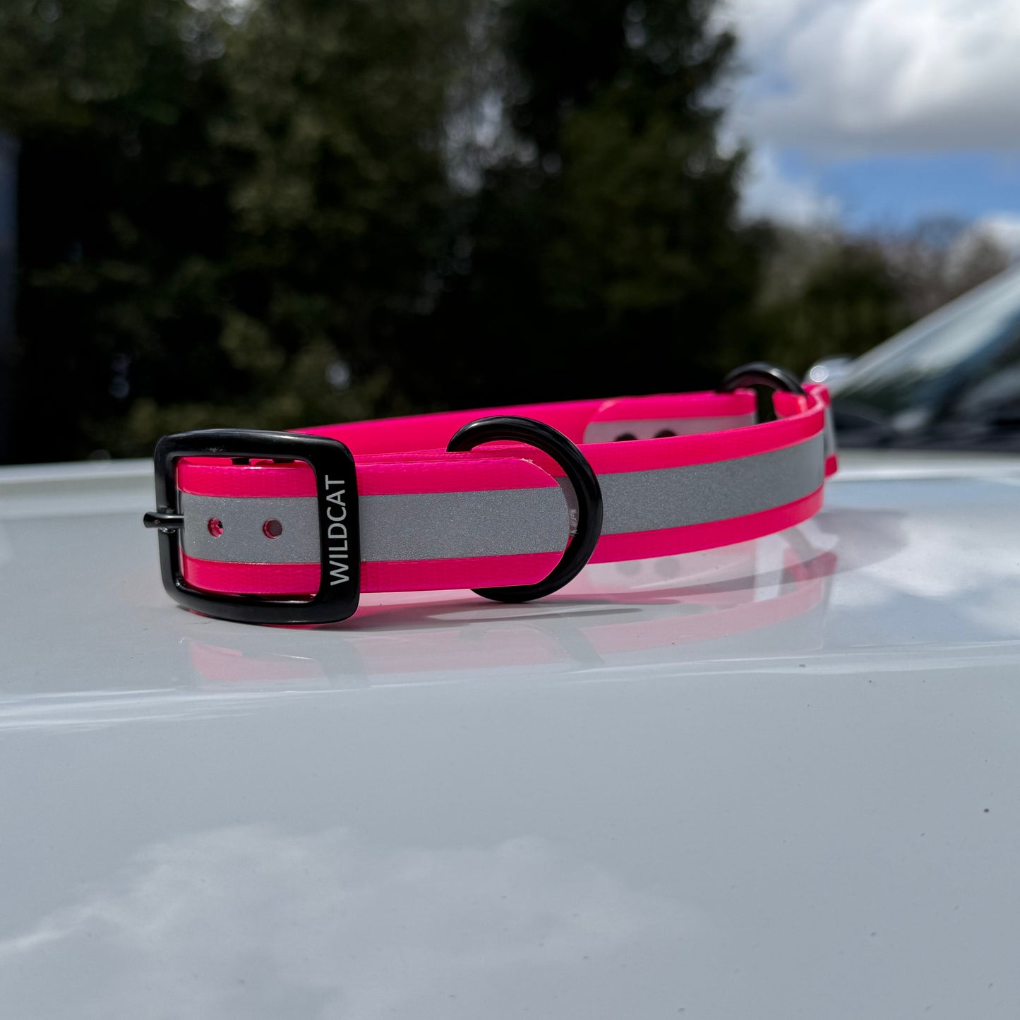 1" Standard Reflective w/ D&O Ring Collar