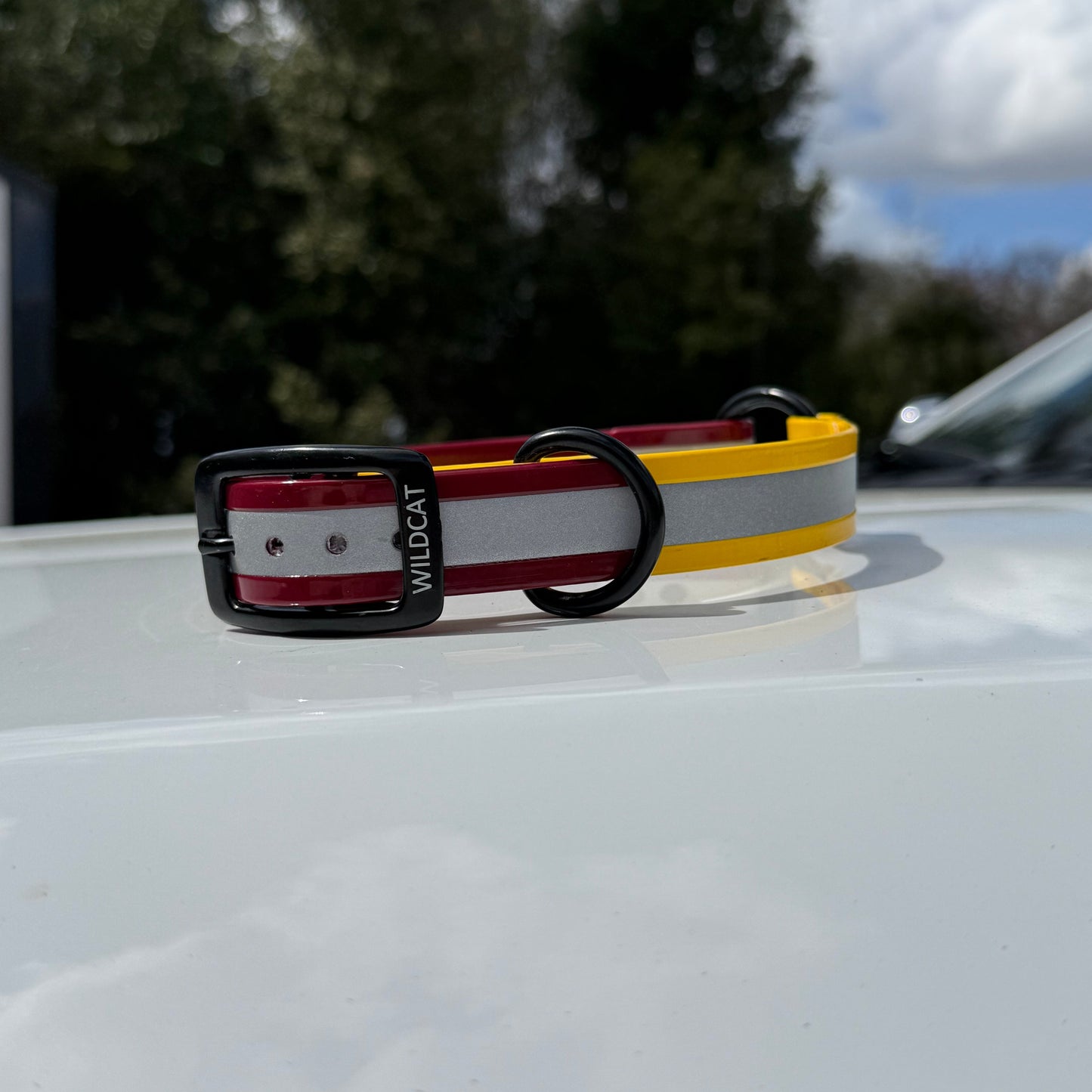 1" Standard Reflective w/ D&O Ring Collar