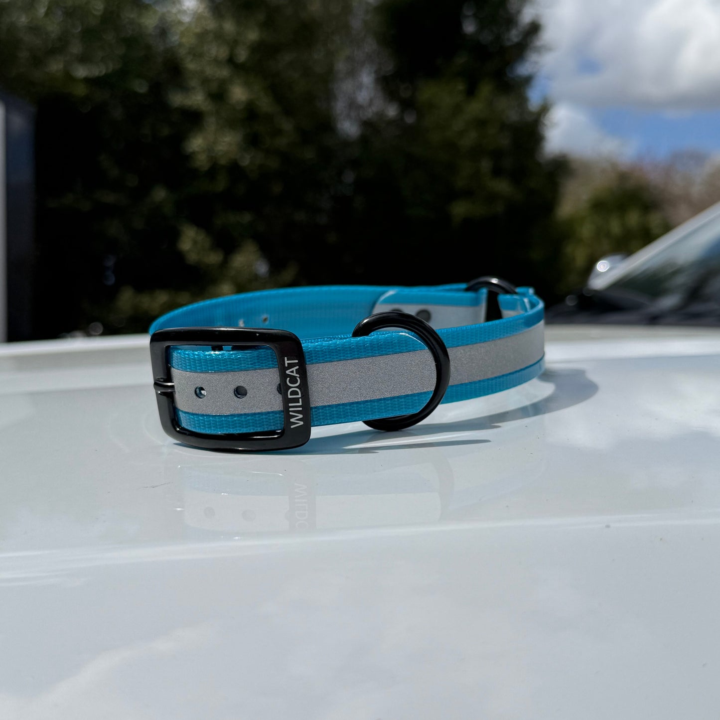 1" Standard Reflective w/ D&O Ring Collar