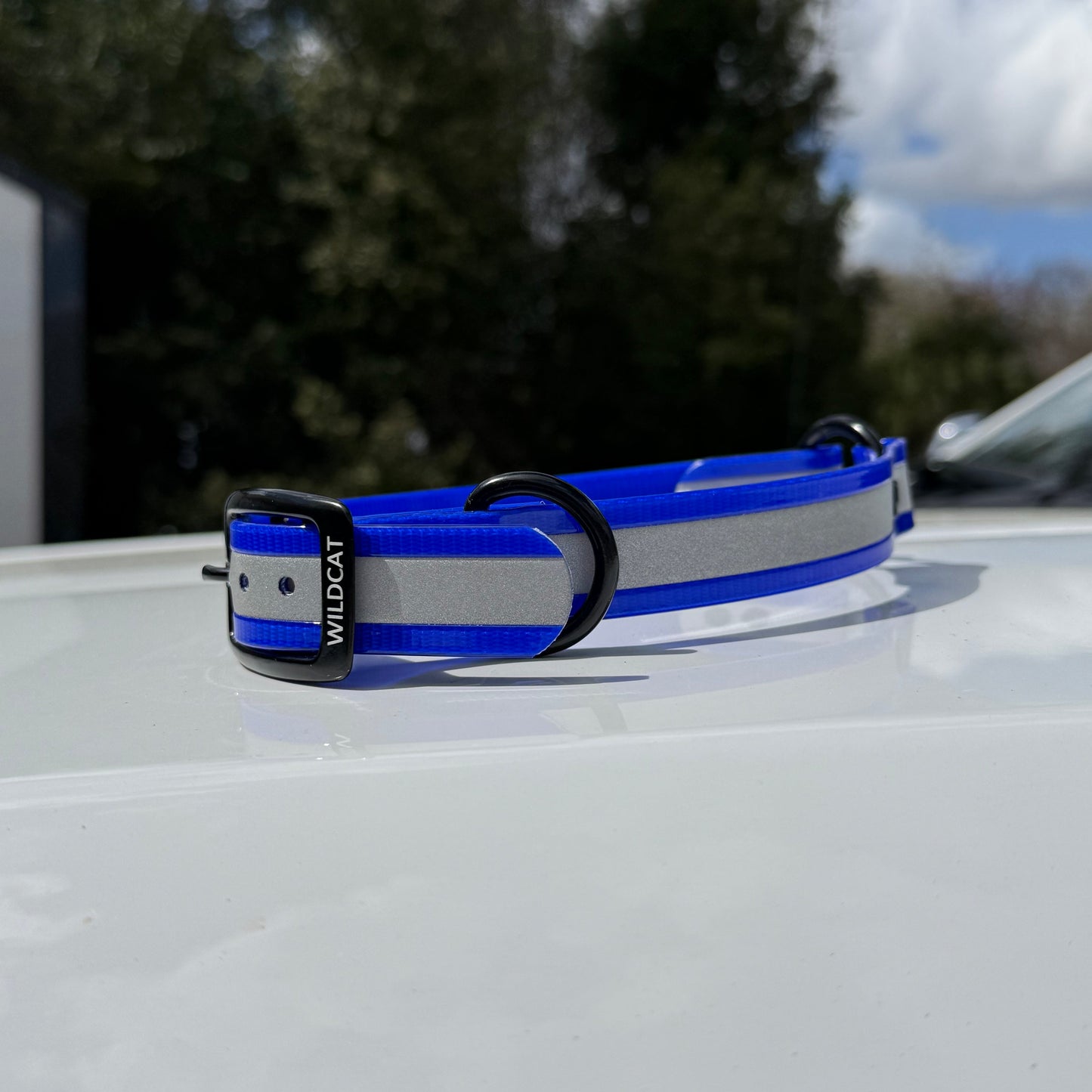 1" Standard Reflective w/ D&O Ring Collar