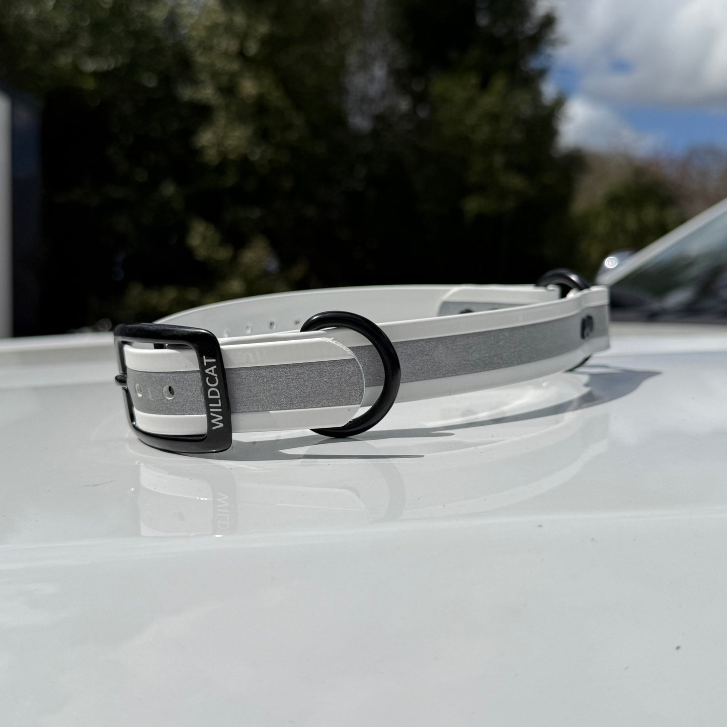 1" Standard Reflective w/ D&O Ring Collar