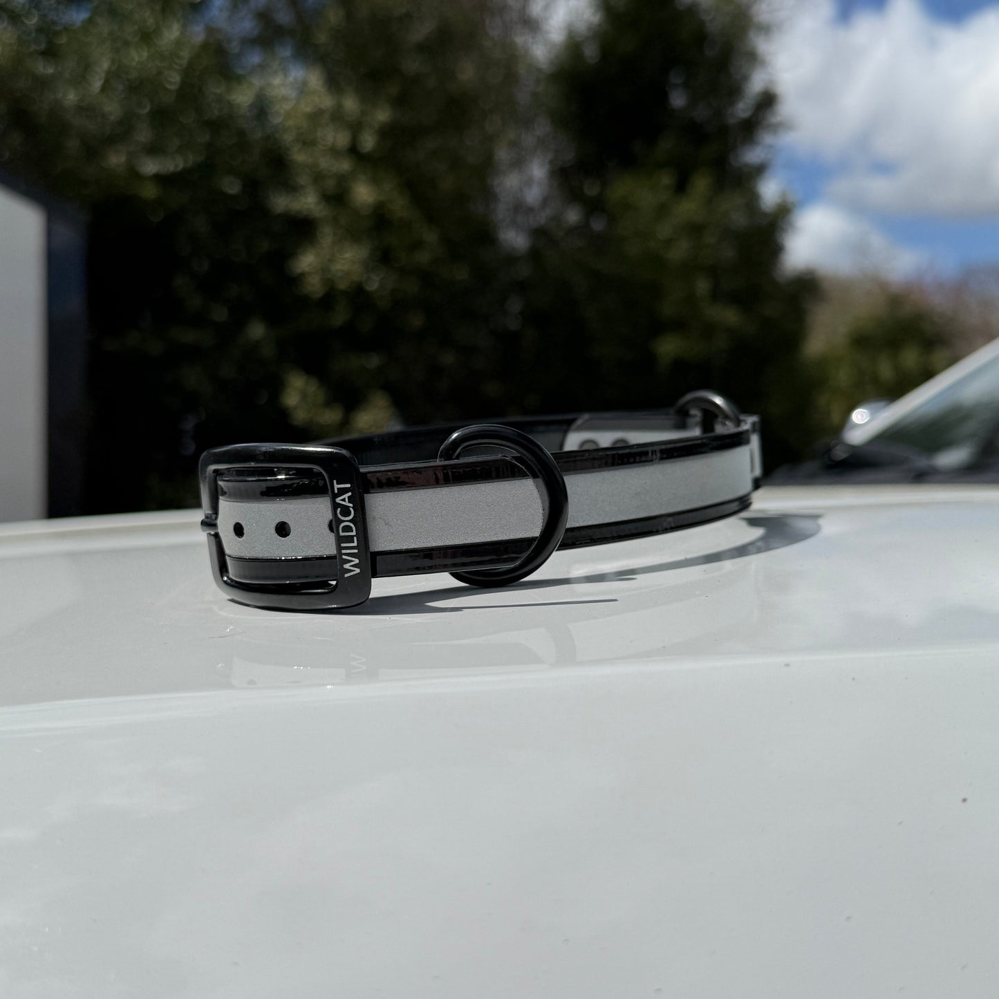 1" Standard Reflective w/ D&O Ring Collar