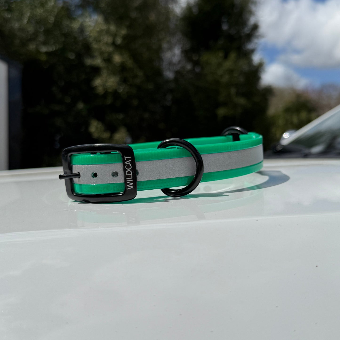 1" Standard Reflective w/ D&O Ring Collar