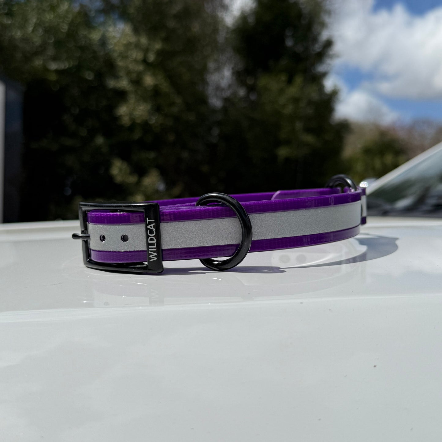 1" Standard Reflective w/ D&O Ring Collar