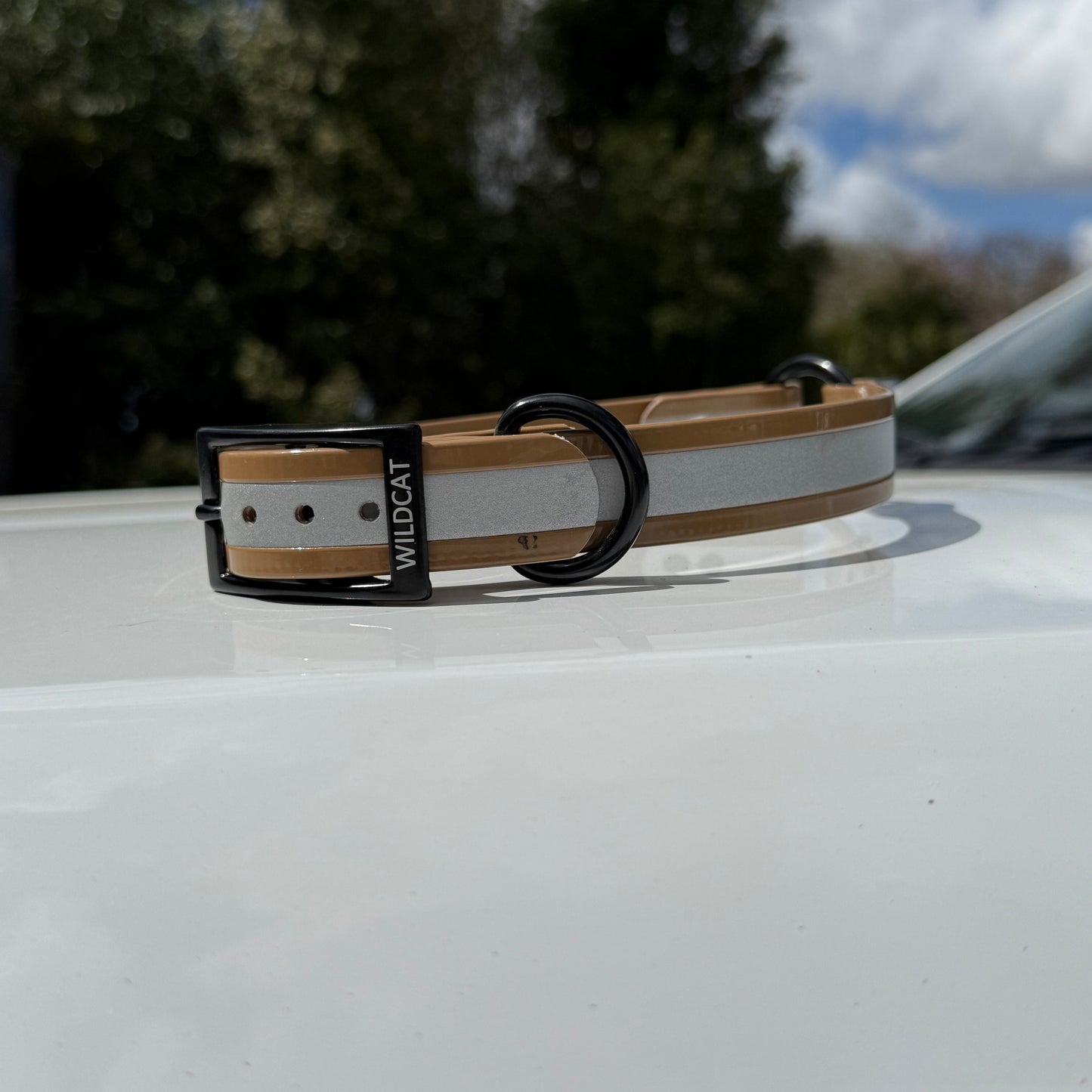 1" Standard Reflective w/ D&O Ring Collar