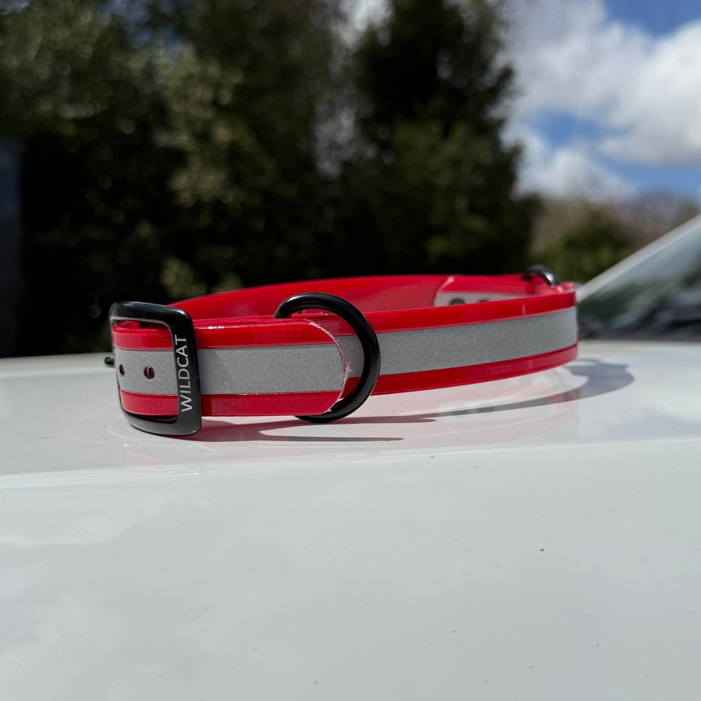 1" Standard Reflective w/ D&O Ring Collar