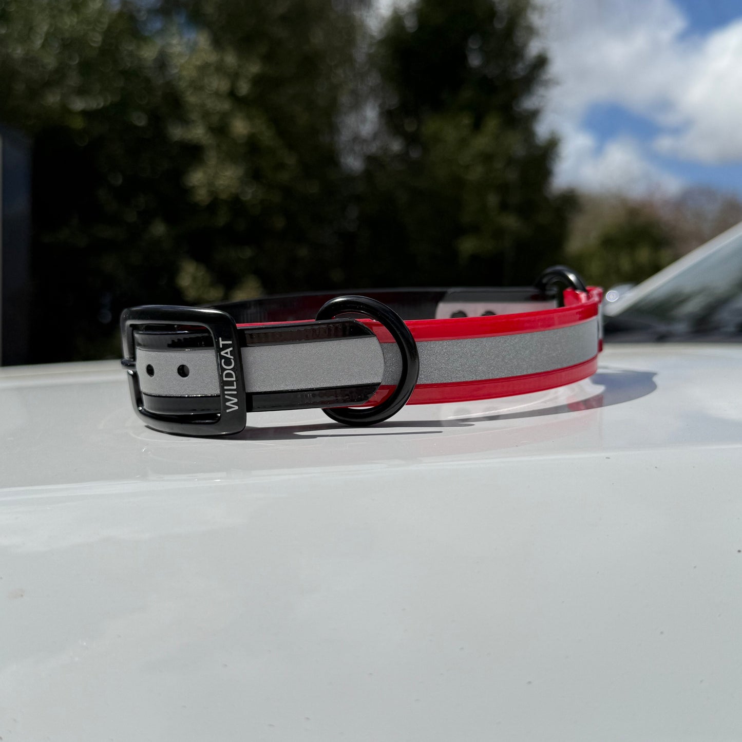 1" Standard Reflective w/ D&O Ring Collar