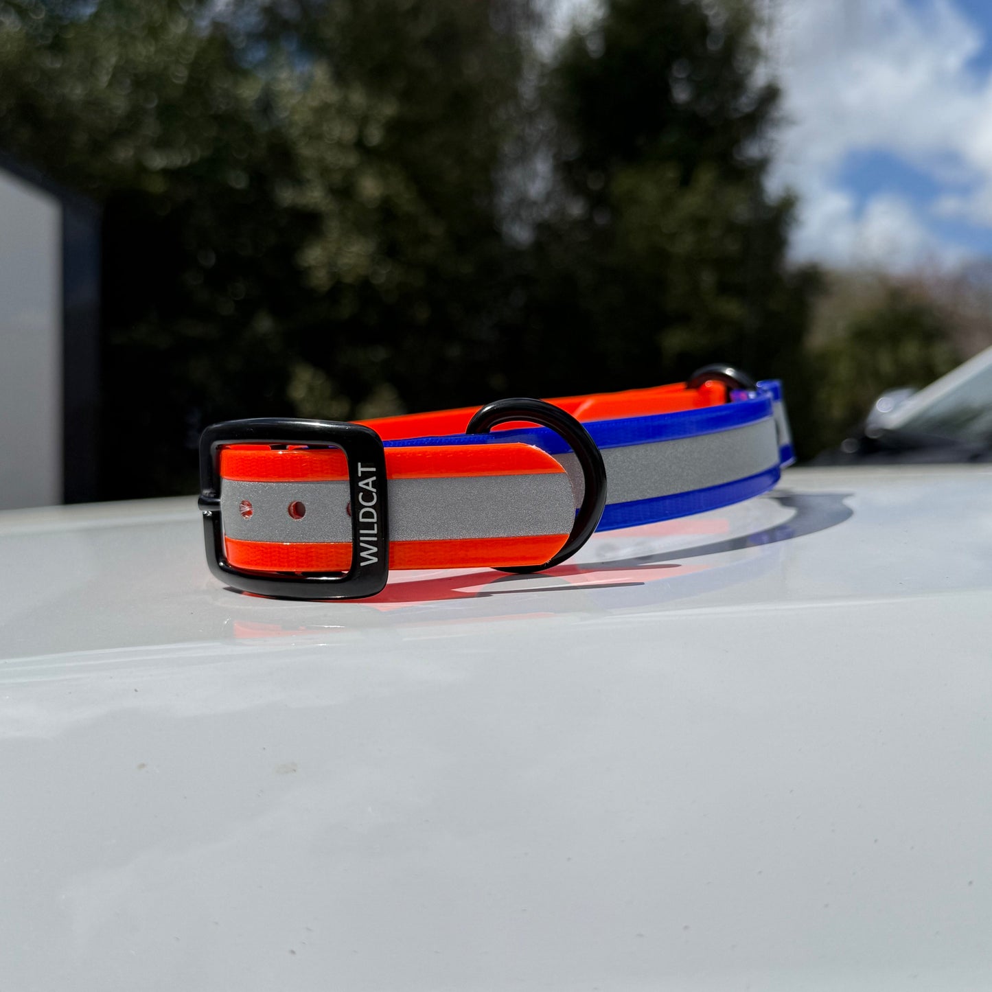 1" Standard Reflective w/ D&O Ring Collar