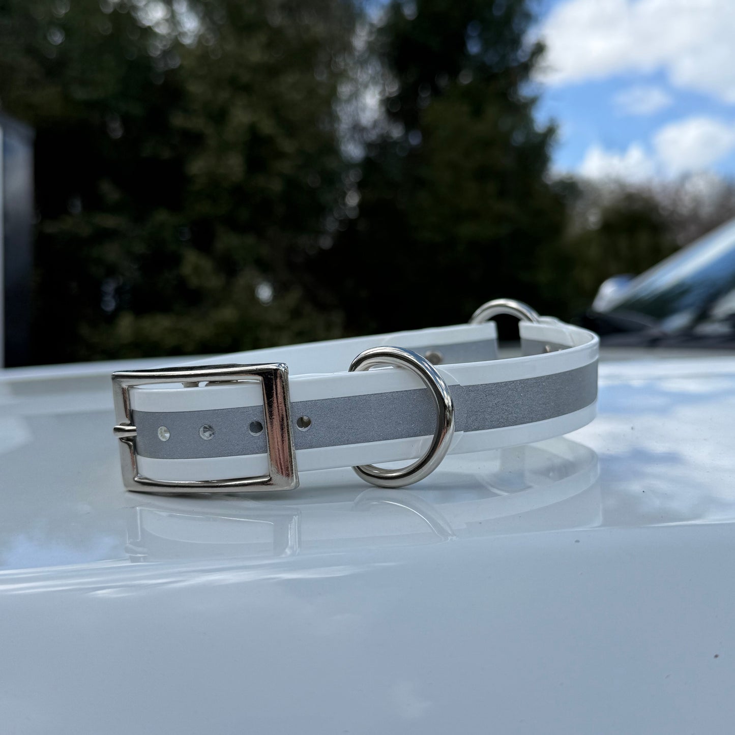 1" Standard Reflective w/ D&O Ring Collar