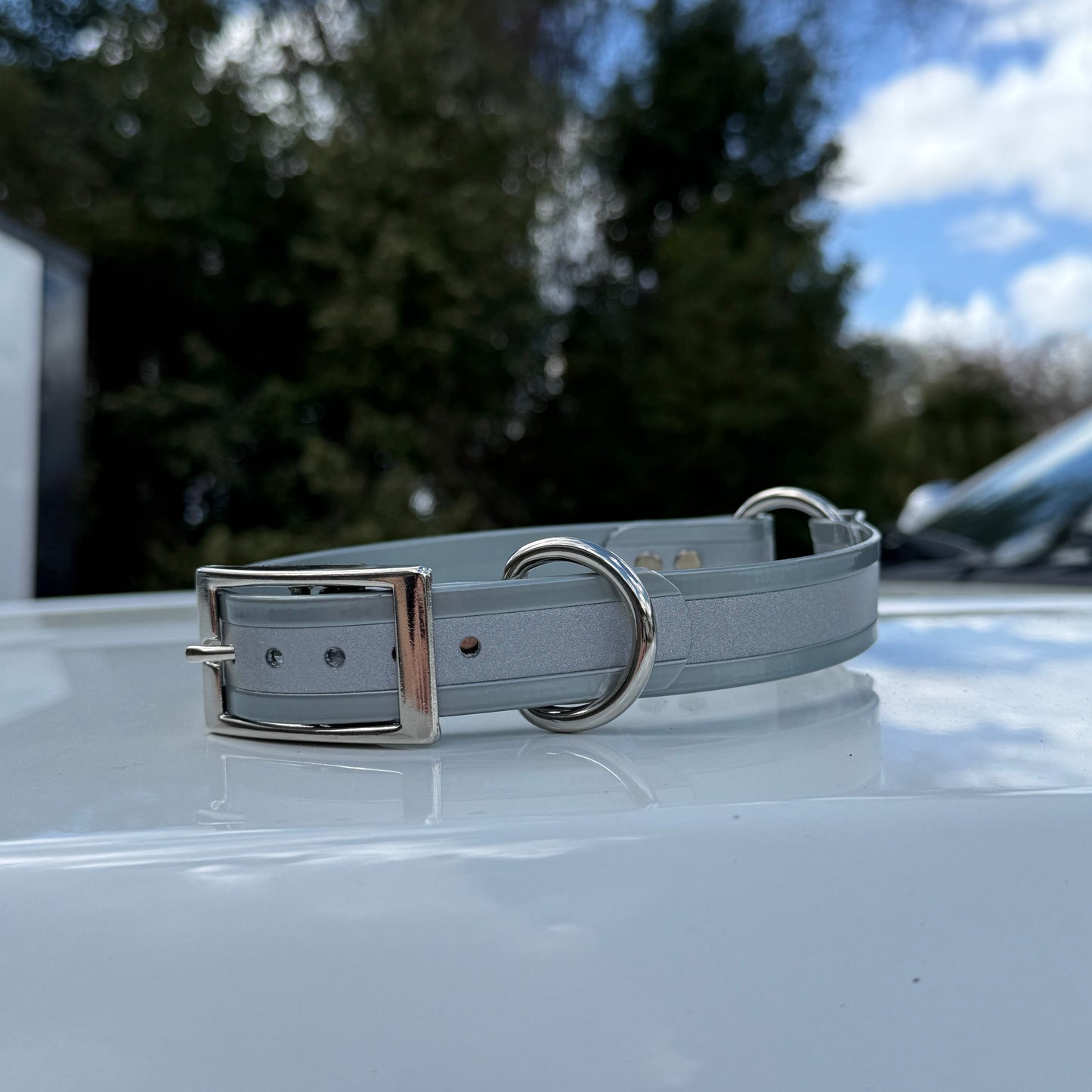 1" Standard Reflective w/ D&O Ring Collar