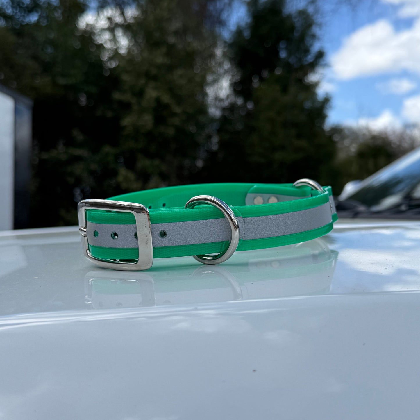 1" Standard Reflective w/ D&O Ring Collar