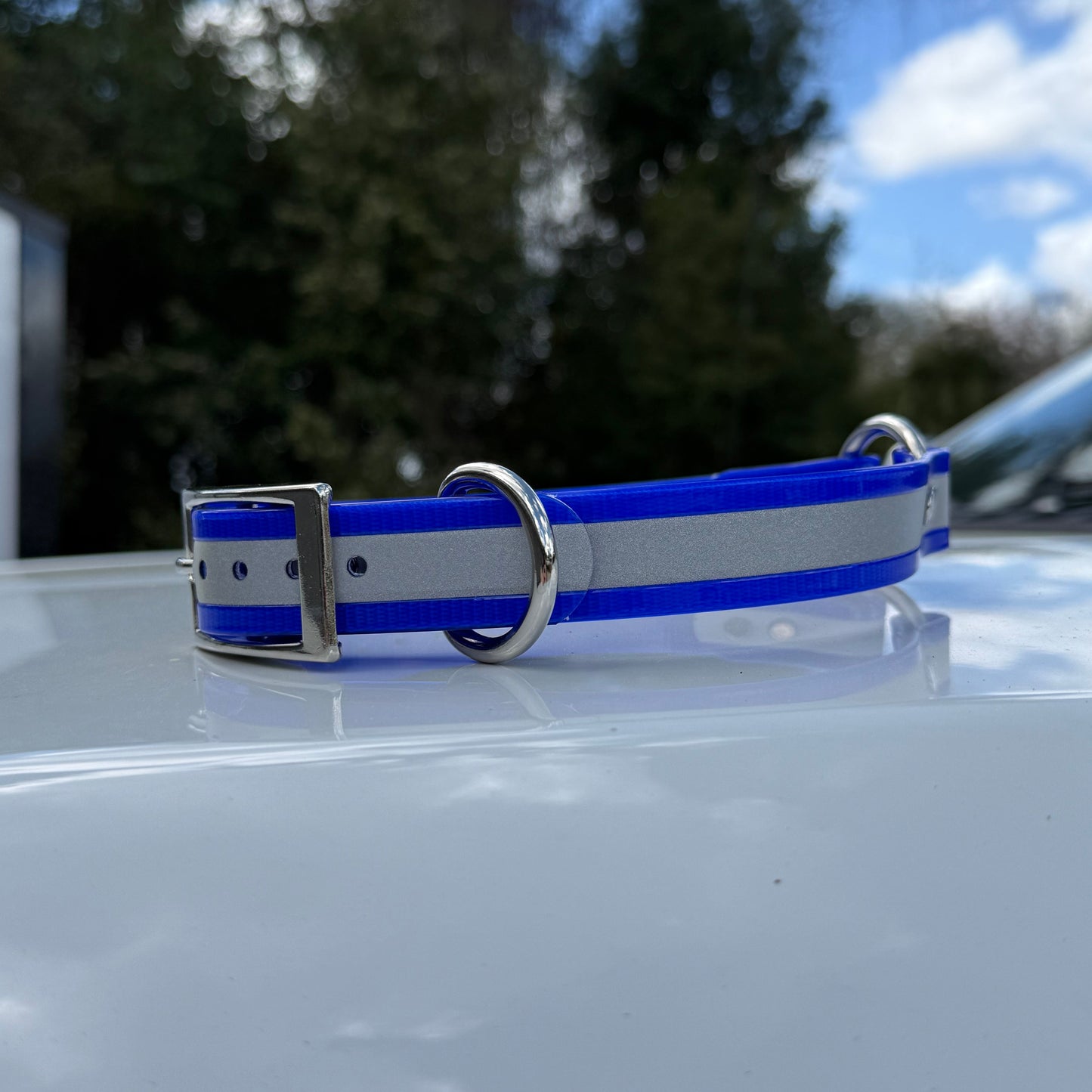 1" Standard Reflective w/ D&O Ring Collar