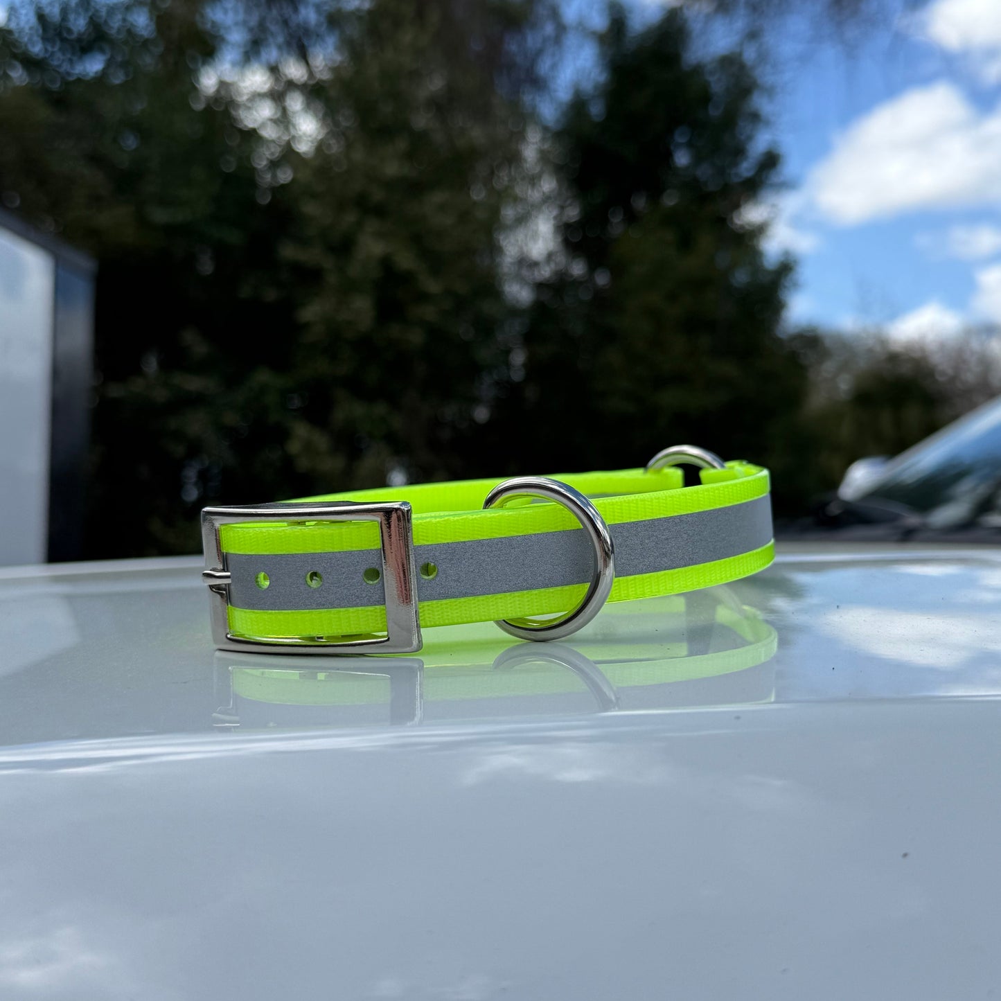 1" Standard Reflective w/ D&O Ring Collar