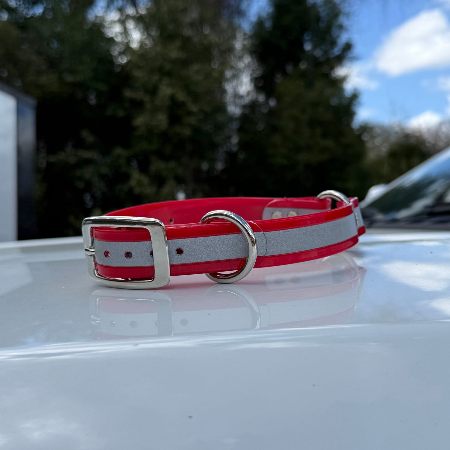 1" Standard Reflective w/ D&O Ring Collar