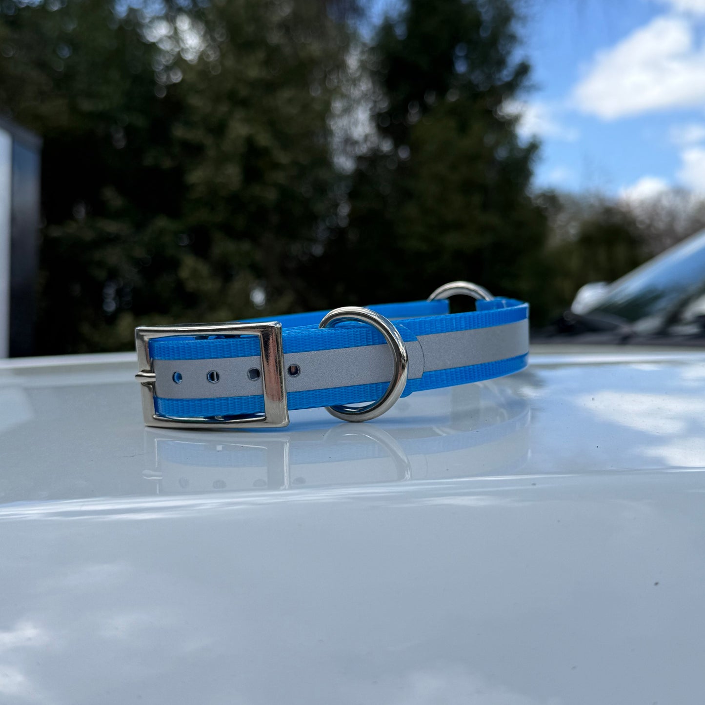 1" Standard Reflective w/ D&O Ring Collar