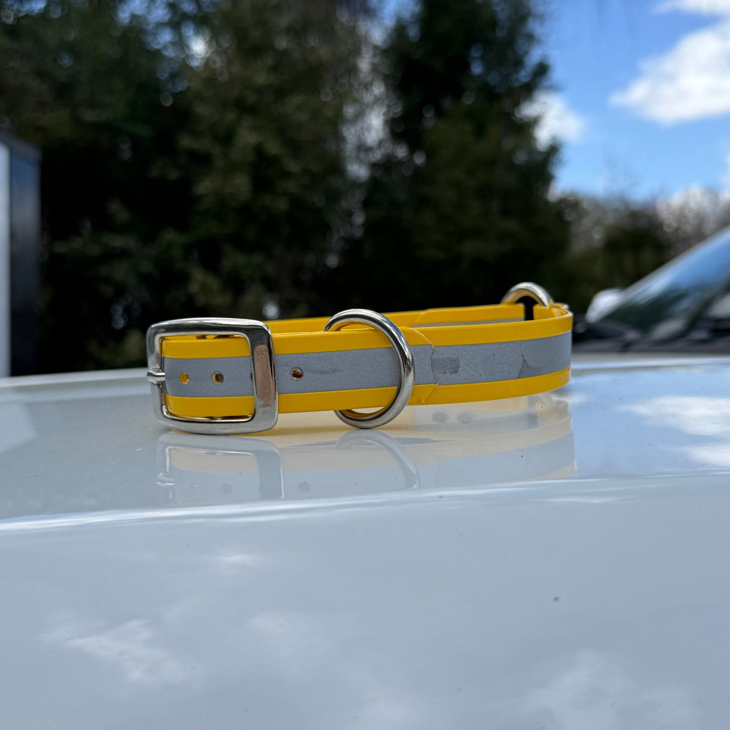 1" Standard Reflective w/ D&O Ring Collar