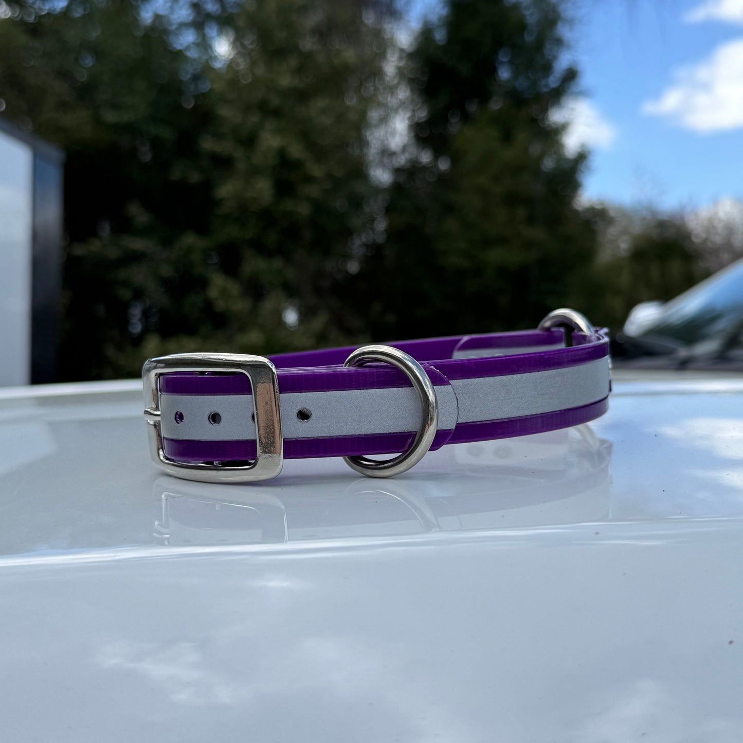 1" Standard Reflective w/ D&O Ring Collar