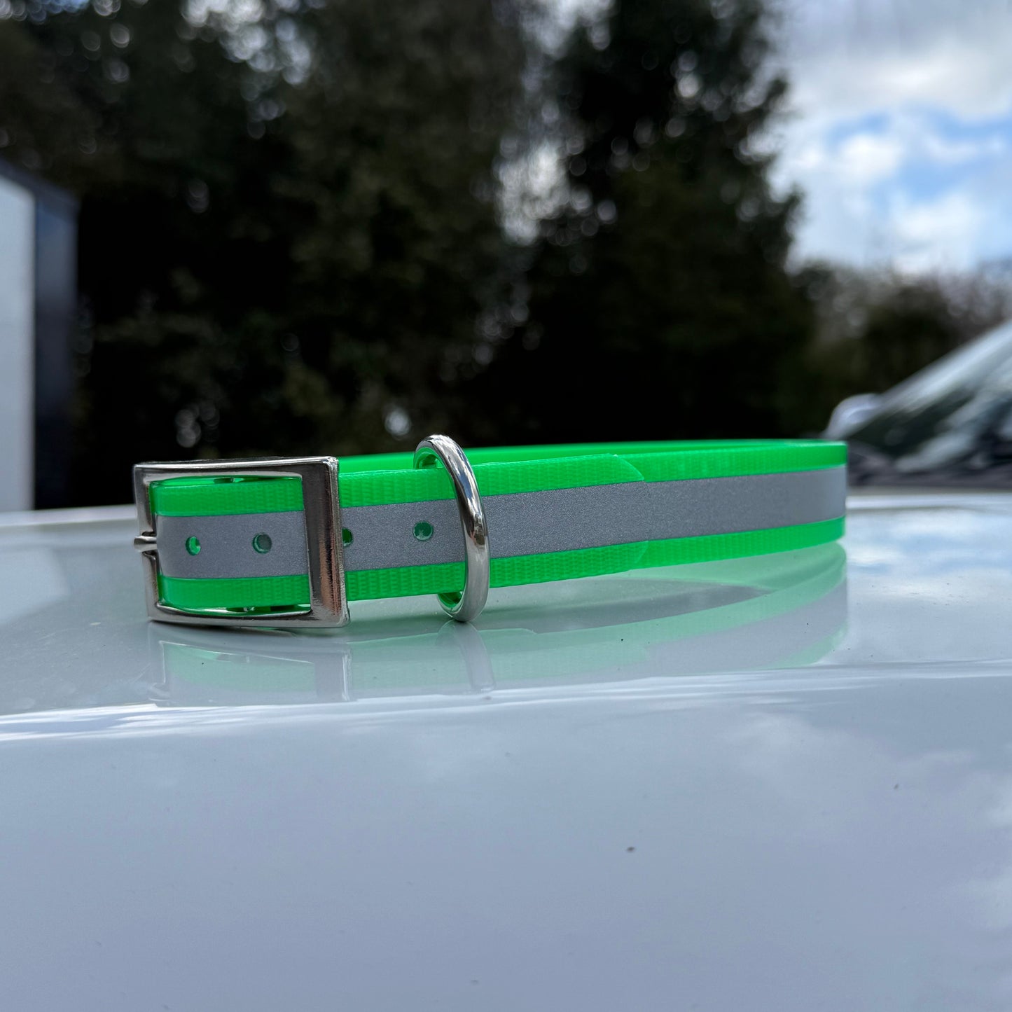 1" Standard Reflective w/ D Ring Collar