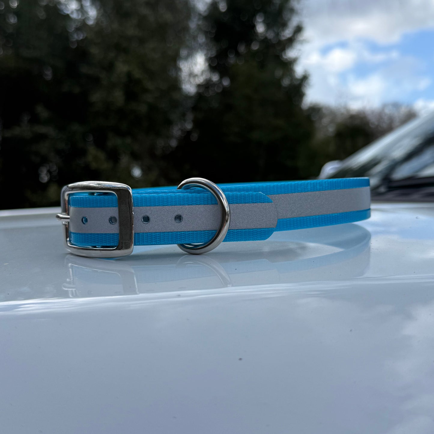1" Standard Reflective w/ D Ring Collar
