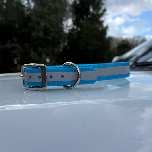 1" Standard Reflective w/ D Ring Collar