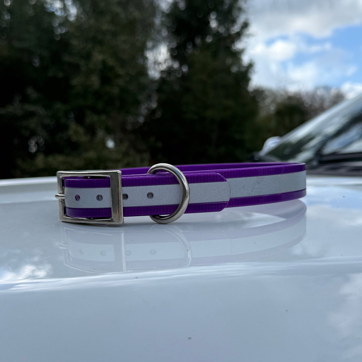 1" Standard Reflective w/ D Ring Collar