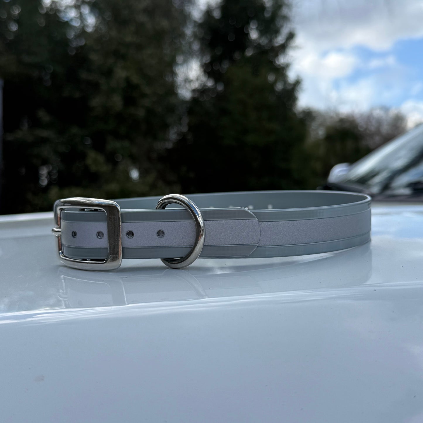 1" Standard Reflective w/ D Ring Collar