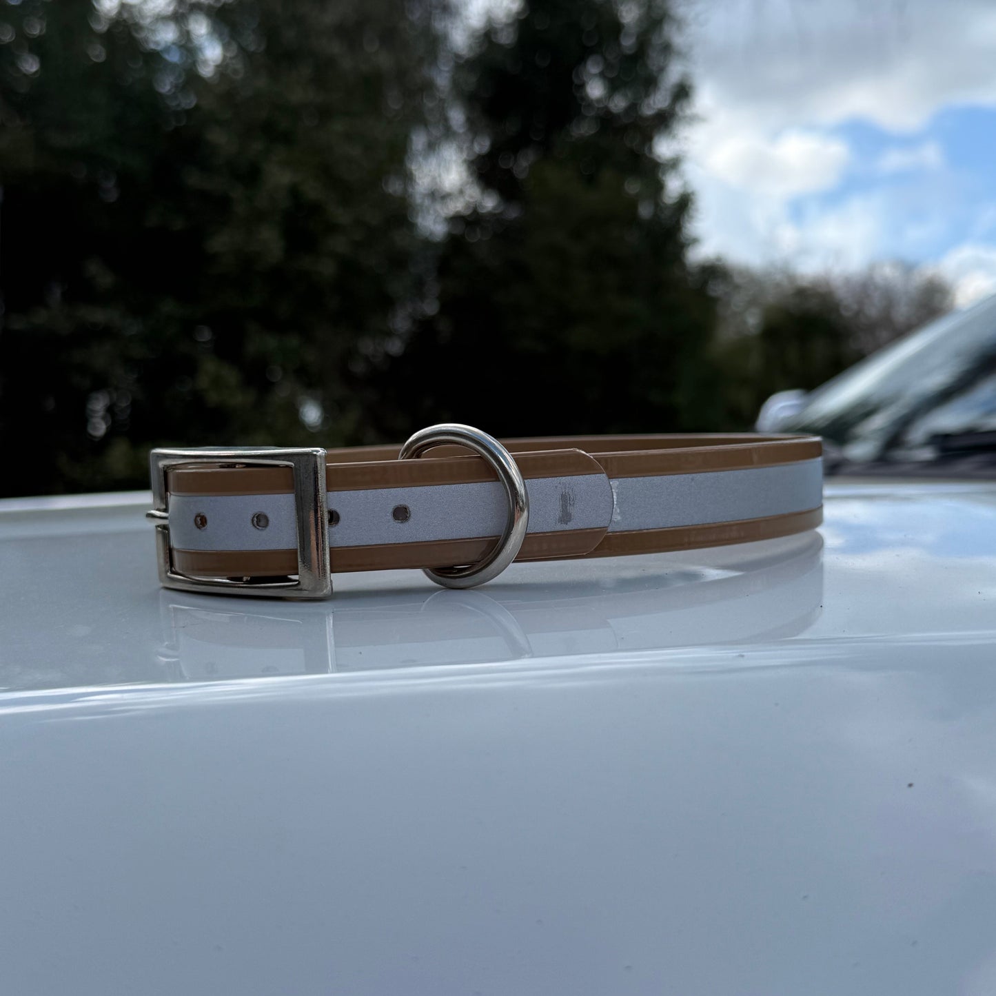 1" Standard Reflective w/ D Ring Collar