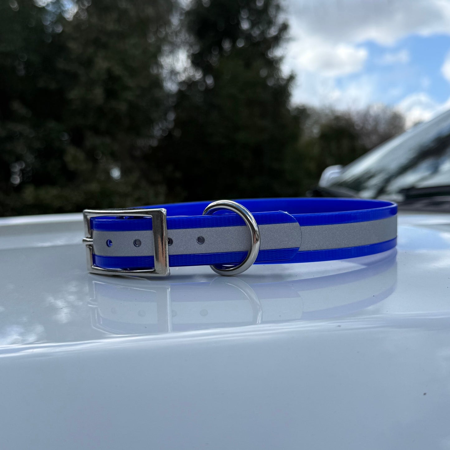 1" Standard Reflective w/ D Ring Collar