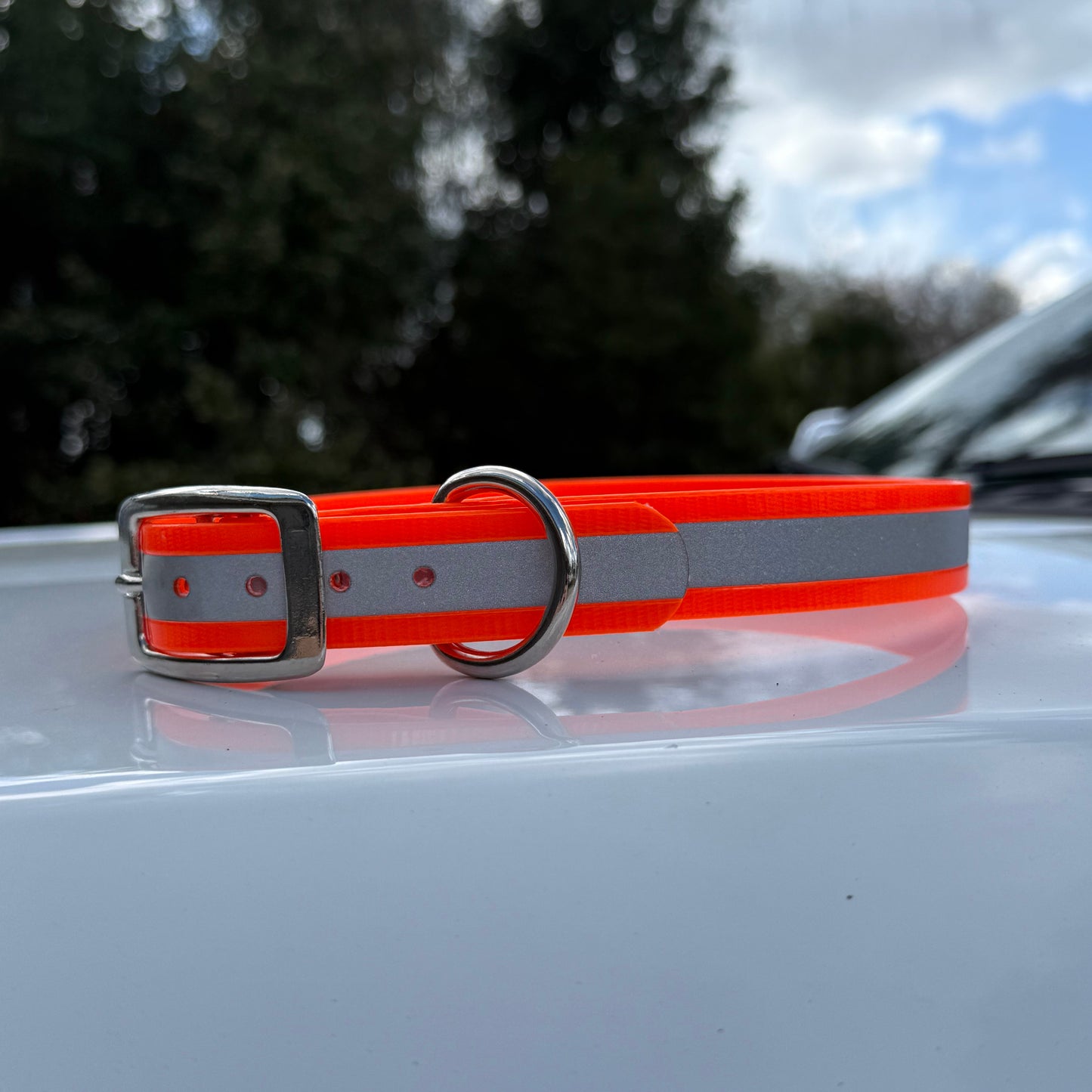 1" Standard Reflective w/ D Ring Collar