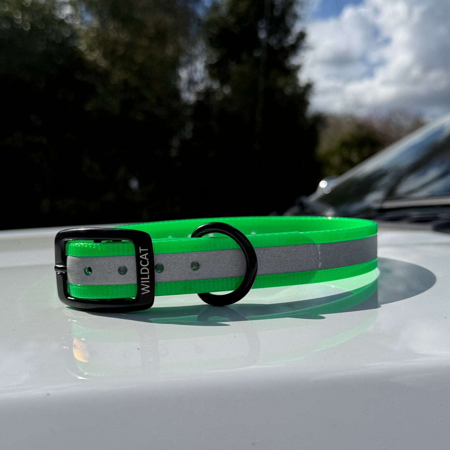 1" GARMIN Standard Reflective w/ D Ring Collar
