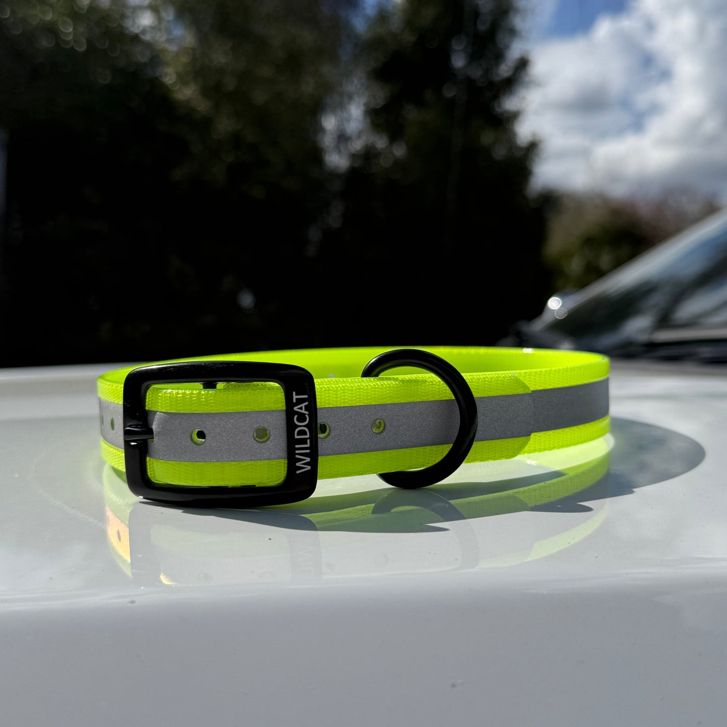 1" GARMIN Standard Reflective w/ D Ring Collar