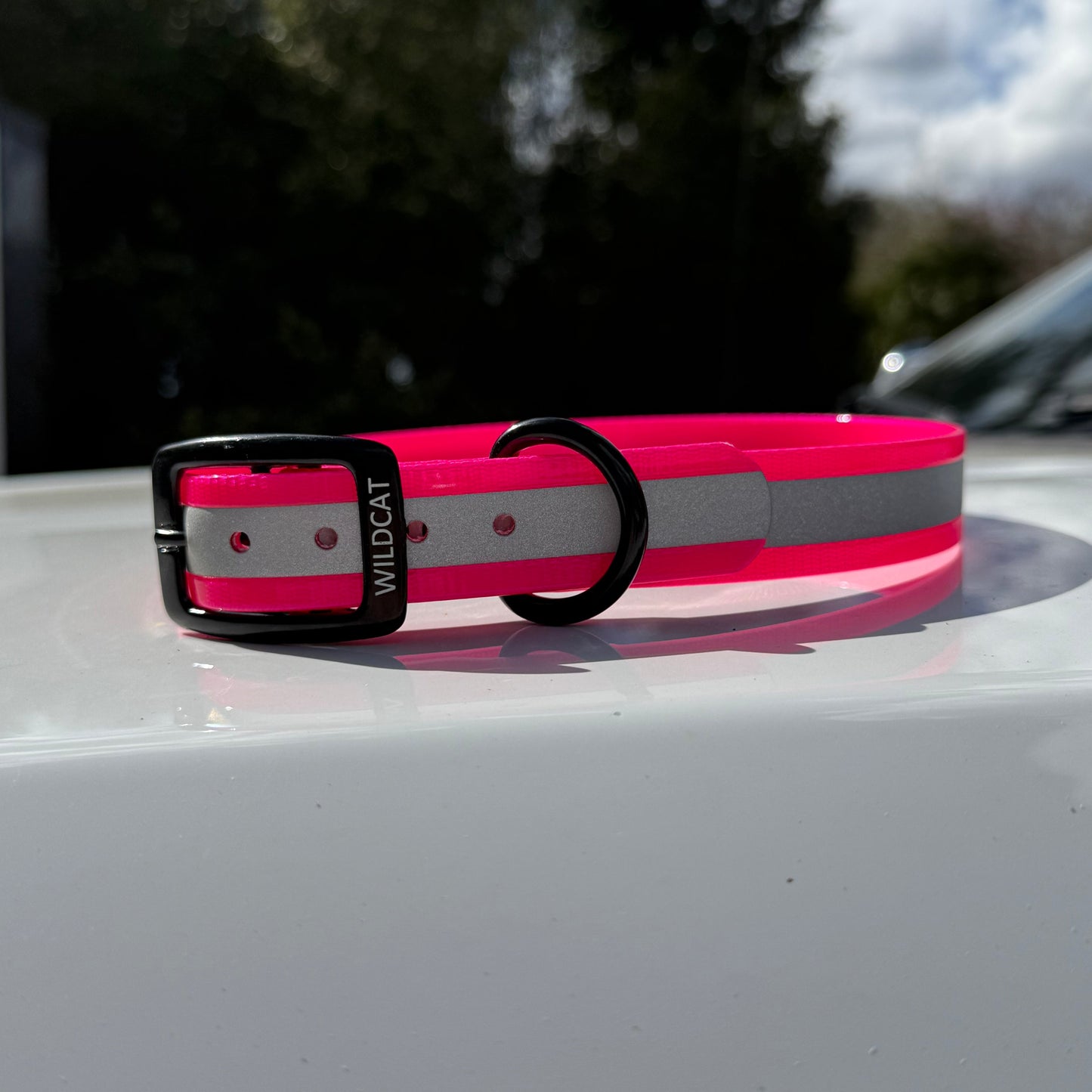 1" GARMIN Standard Reflective w/ D Ring Collar