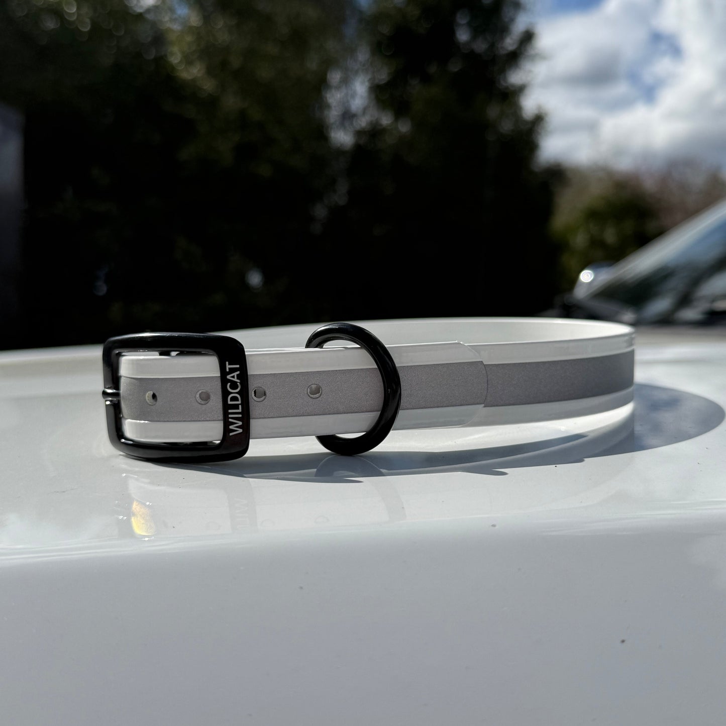 1" GARMIN Standard Reflective w/ D Ring Collar
