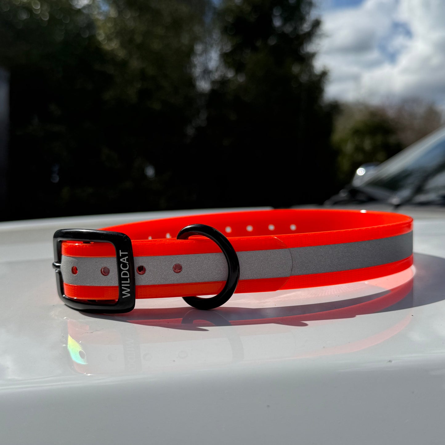 1" GARMIN Standard Reflective w/ D Ring Collar